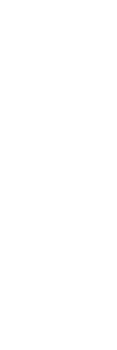 匠寛堂謹製「煌かすていら」